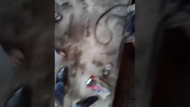 Киа Рио замены ролика натяжителя и ремня генератора Часть 2 смотреть онлайн