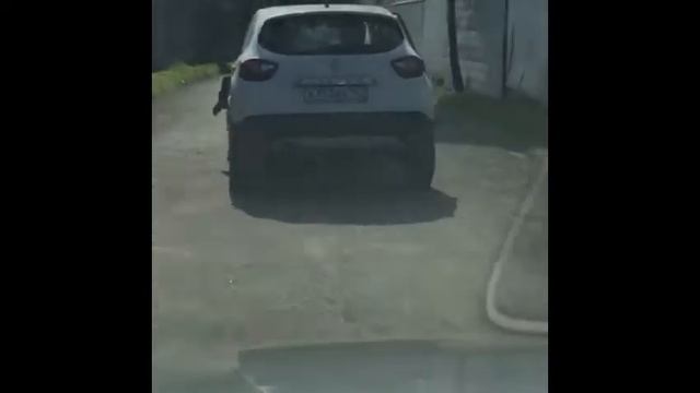 Купить Renault Kaptur | Аукцион TOTAL01 | Авто с пробегом НЕДОРОГО смотреть онлайн