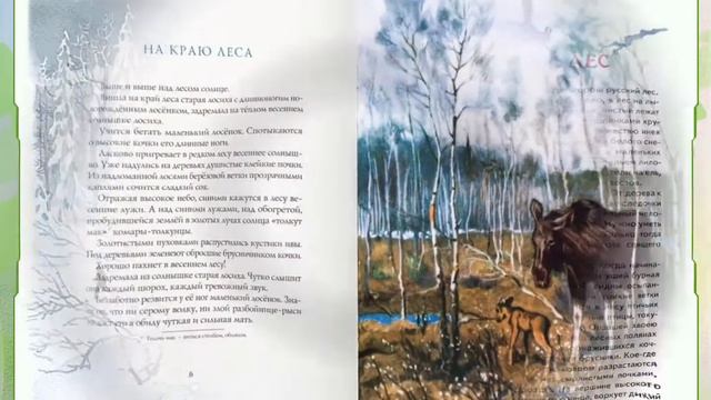 Живой лес смотреть онлайн