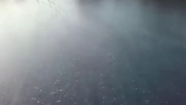через карповский ставок зимой на велике смотреть онлайн