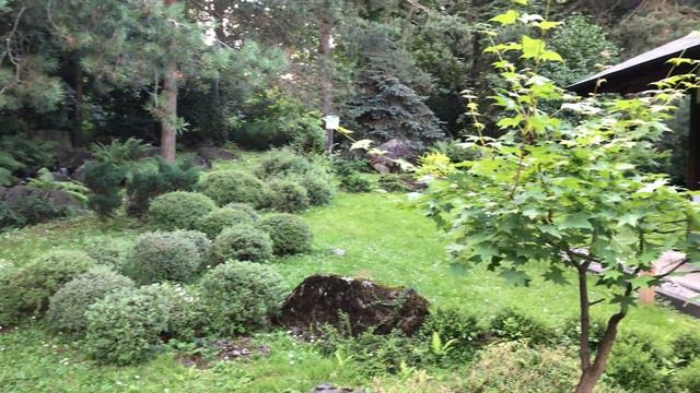 Японский сад в Москве/Japanese garden in Moscow смотреть онлайн