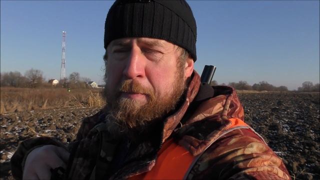 Охота на лисицу, Загонная, Санитарный отстрел. смотреть онлайн