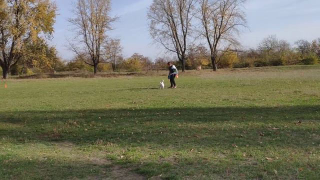 Frisbee-Манія 2018 Валентина и Вента смотреть онлайн