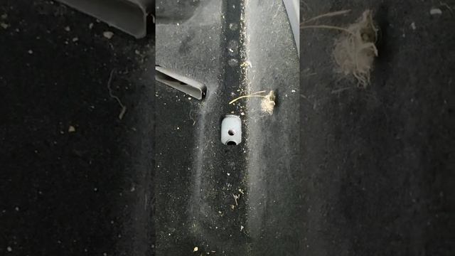 Как правильно делать химчистку салона автомобиля!