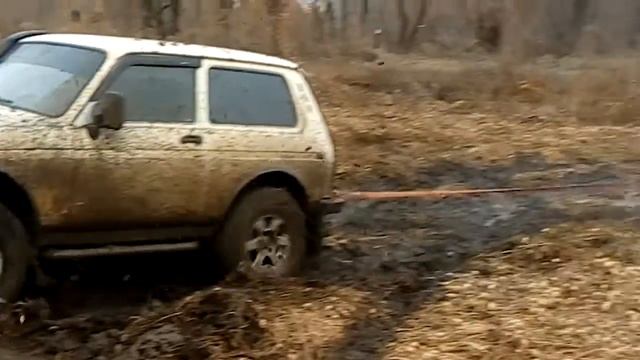 Болото Нива и Нива. смотреть онлайн