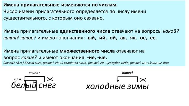 Русский язык 3 класс. Связь имени прилагательного с именем существительным. смотреть онлайн