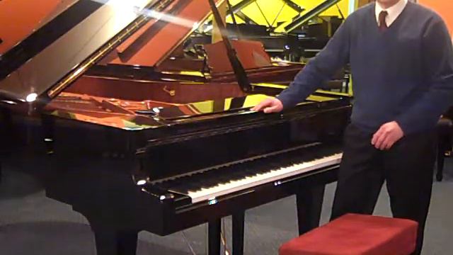 SCHIMMEL Piano For Sale At Roger's Piano MA