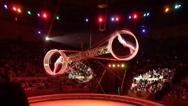 Колесо смелости в Брянском цирке!!! смотреть онлайн