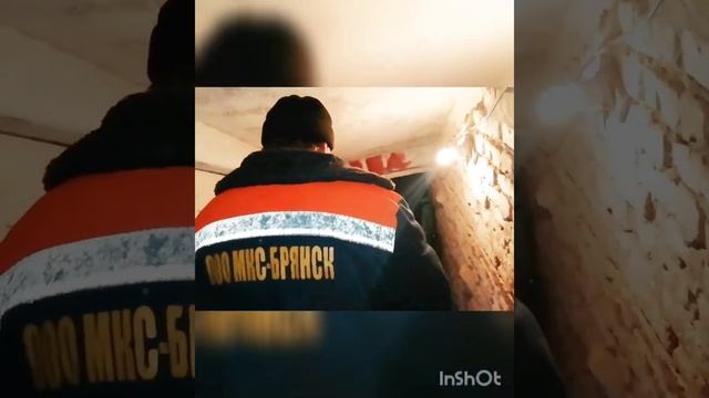 ?УО новая-проблемы старые!БГА назначила УО д40 по улБелорусская гБрянск #летопись32 #осгбрянск #жкх смотреть онлайн