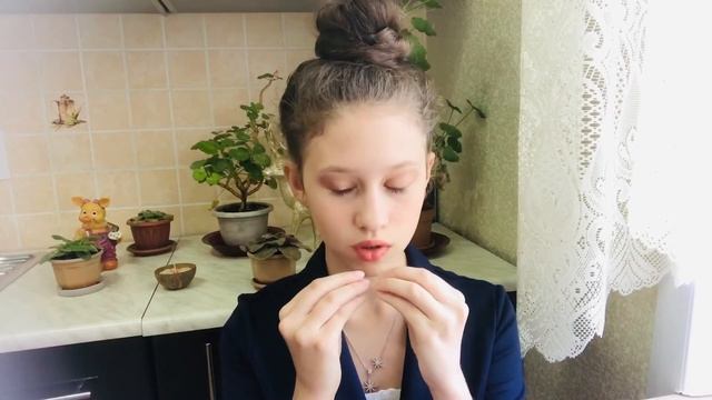 Почему опасно заводить шиншиллу//Вещи, которые опасны для жизни шиншилл//Отчего умерла моя шиншилла смотреть онлайн