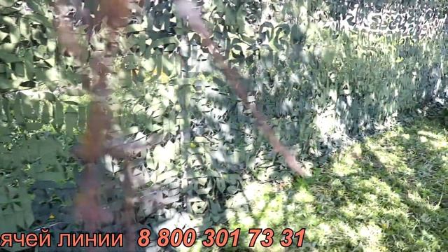 МКТ-2Л на заборе на сетке рабица смотреть онлайн