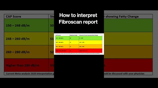 How to interpret Fibroscan report @DrAshishSachan смотреть онлайн