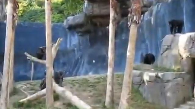 Ну чем не люди смотреть онлайн