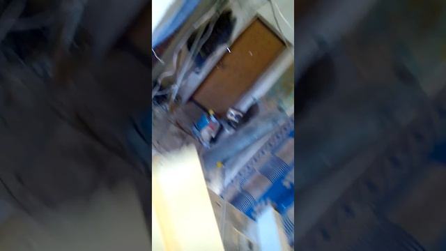 Бош рамки смотреть онлайн