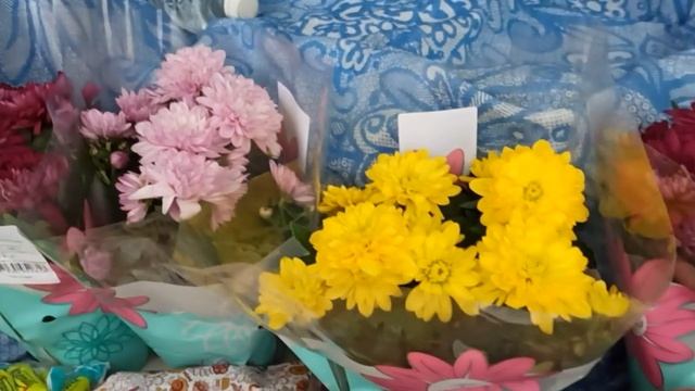 СВЕТОФОР И СКИДКИНО.// НАШИ ПОКУПКИ.// смотреть онлайн