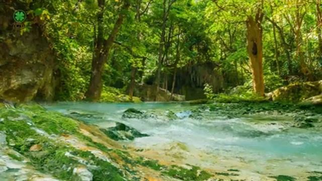 Музыка Для Успокоения Нервов И Сна ? Медитация Музыка, Мелодии Для Сна, Музыка Для Души Сборник смотреть онлайн