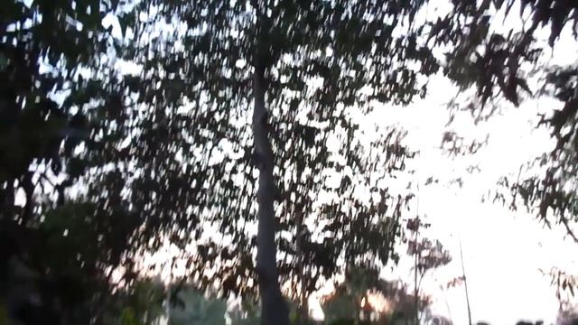 Pocket Camera Sony Cybershot DSC W830 20.1 MP Zoom Test смотреть онлайн