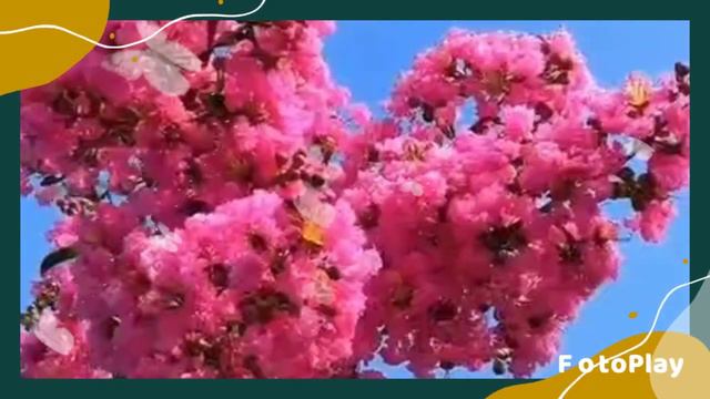 ДОБРЫЙ ВЕЧЕР! ПРИЯТНО ВСПОМНИТЬ! смотреть онлайн