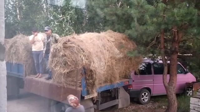 Дом в деревне/Будет ,что кушать/Не хочу на работу/7ПАССАЖИРОВ смотреть онлайн