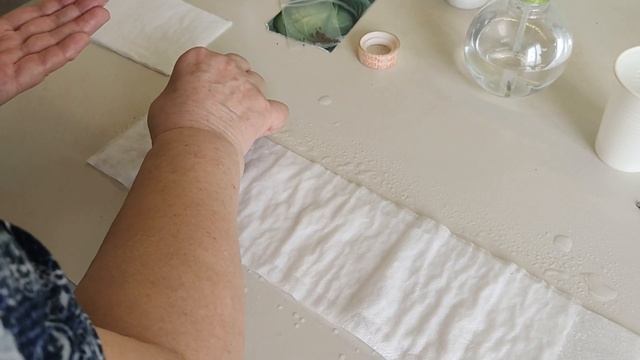 ВЫСАДКА РАССАДЫ КАПУСТЫ В РАКУШКУ смотреть онлайн