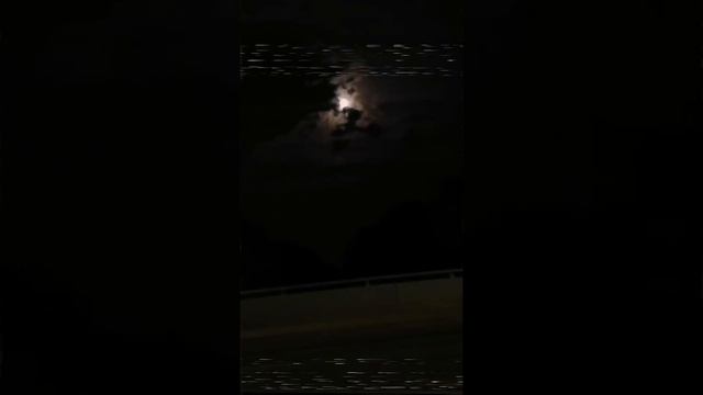 Trumatic - I love you смотреть онлайн
