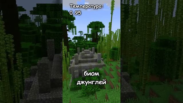 Может ли сгенерироваться мир с одним биомом в майнкрафте? смотреть онлайн