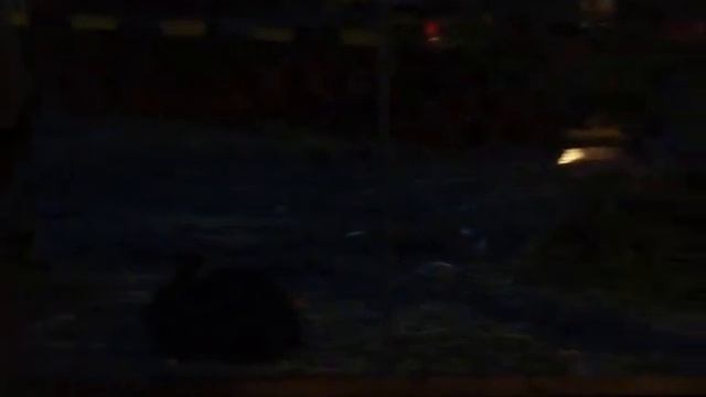 Рождество в Кроличьем королевстве смотреть онлайн