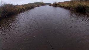 Осенняя рыбалка на кастинговую сеть 8 метров