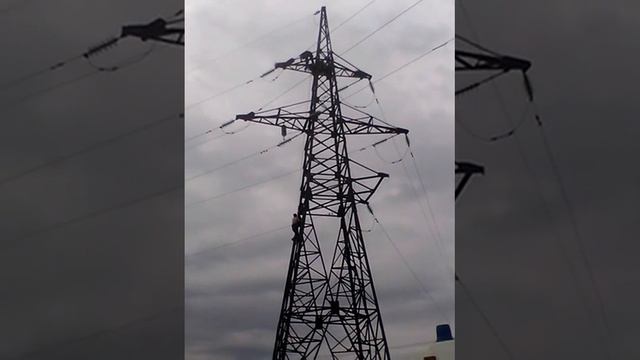 Мужчину снимают со столба, Саратовская область смотреть онлайн