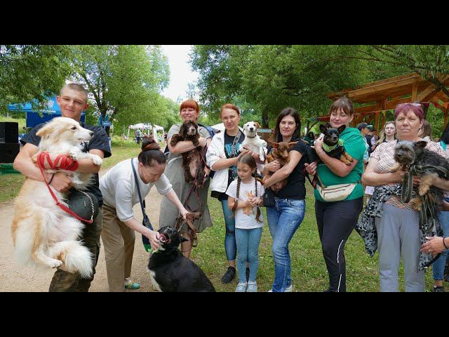Фестиваль про животных и их людей 2024 в Твери (4К)#тверь #tver #инициативка #tverhelpanimals