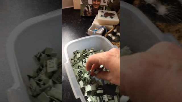 Andrews Hedgehog Hospital Prize Draw смотреть онлайн