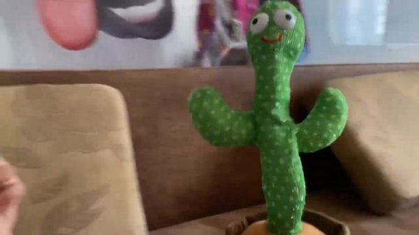 Поющий кактус