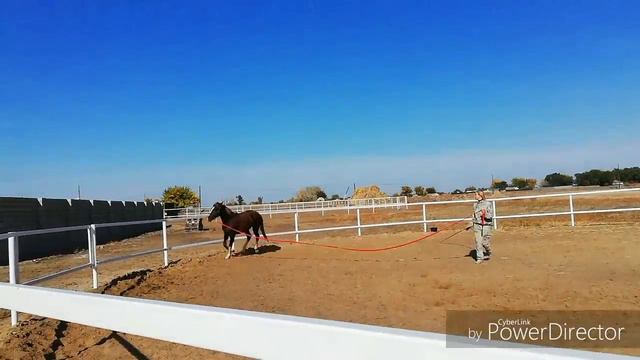 Работа на корде | Осень 2О18 г. смотреть онлайн