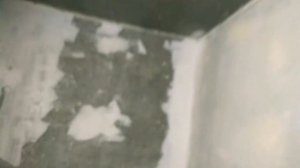 куры гриль как бизнес