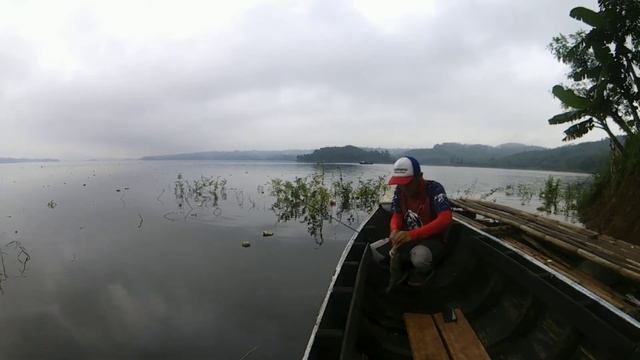 STRIKE!! hampala / sebarau cirata on baitcasting смотреть онлайн