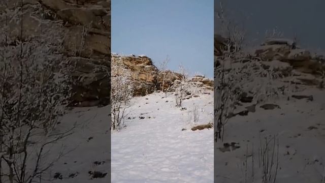 Гора Крестовая. Конец ноября 2022 #пермскийкрай #гора #крестовая #крестовка #природа #снег #ноябрь смотреть онлайн