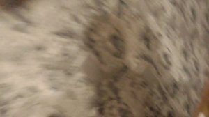 Экран для проектора DEXP WE 80