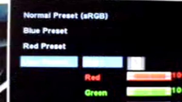 Dell 1708FP 17" monitor review