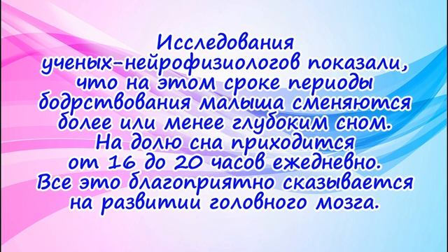 Развитие плода на 21 неделе беременности/Календарь беременности! смотреть онлайн