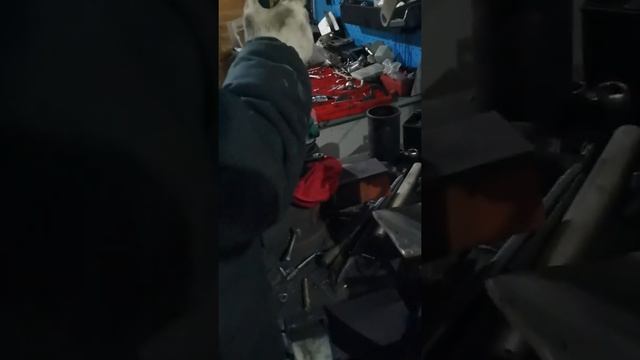 Замена сальника хвостовика на дф244. смотреть онлайн