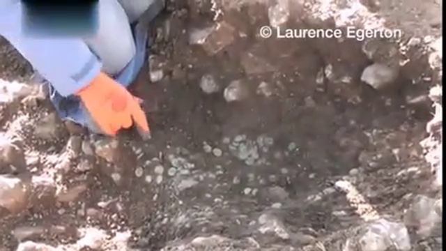 Британец обнаружил 22 тысячи римских монет с помощью любительского металлоискателя смотреть онлайн