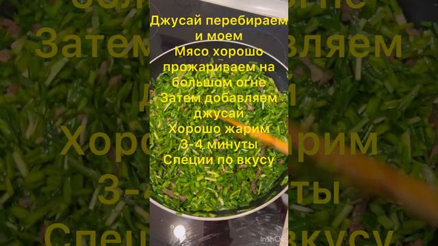 Magical Holiday Adventures