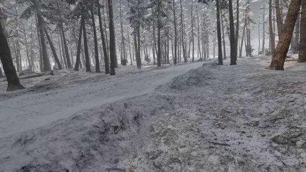 Конфликт в лесу - Pavlov VR