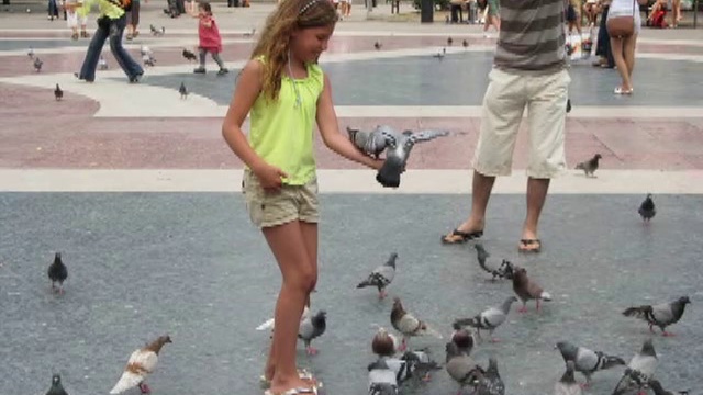 Девочка с голубем смотреть онлайн