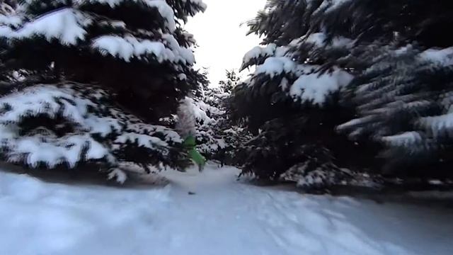 Stitch The French Bulldog (Sony HDR-AS20) смотреть онлайн