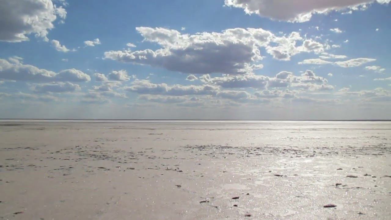 На озере Эльтон)