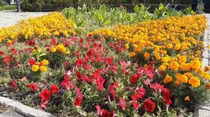 Мой город Омск?⛲Прогулка по красивым местам Омска??