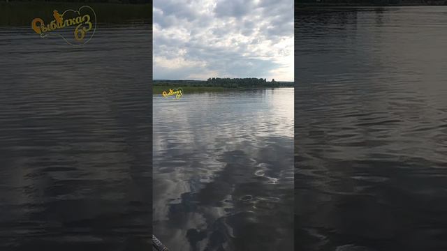 Щука на зимний VIB ECOPRO KUDA смотреть онлайн