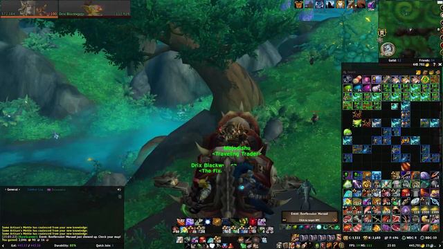 WoW Dragonflight | 2x4 Skinning GoldFarm 50K+/H | Blue BoE's Worth a Lot of Gold смотреть онлайн