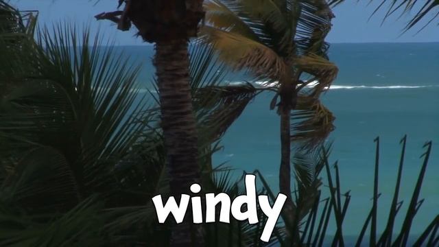 Types Of Weather - Learning About Weather For Kids